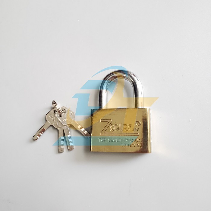 Ổ khóa treo Zsolex max 6F (60mm)