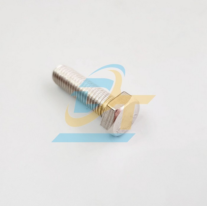 Bulong inox 201 M20x80