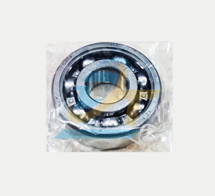 Vòng bi (bạc đạn) SKF 6303