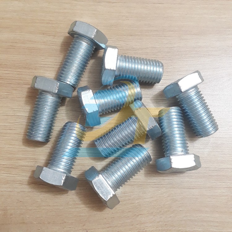 Bulong mạ kẽm M20x40