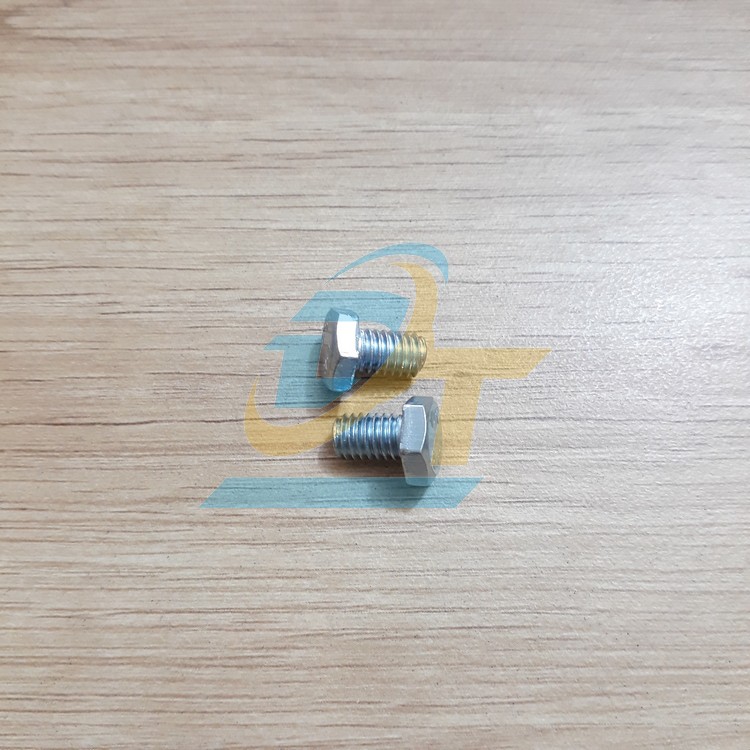 Bulong mạ kẽm M6x10