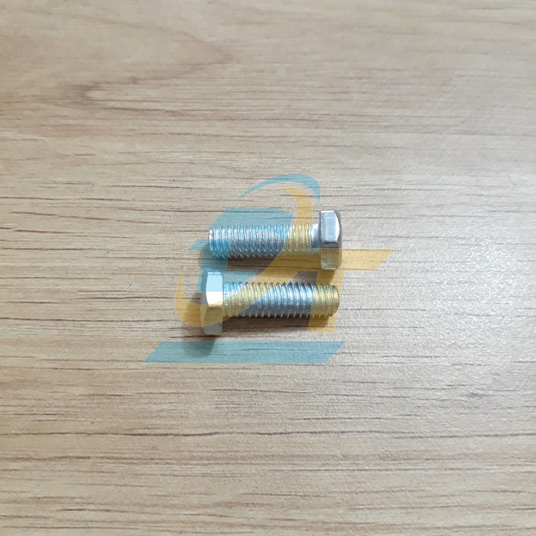 Bulong mạ kẽm M6x20
