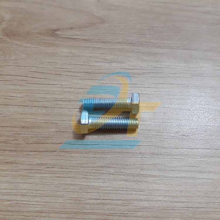 Bulong mạ kẽm M6x25