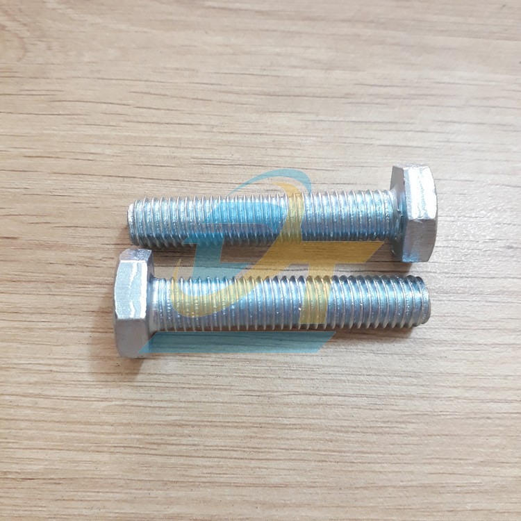 Bulong + con tán mạ kẽm M10x50