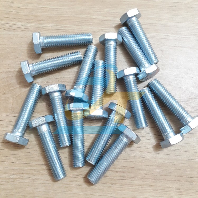 Bulong + con tán mạ kẽm M12x50