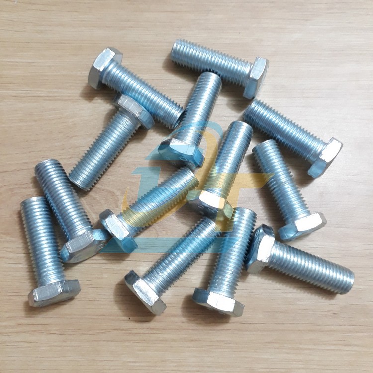 Bulong mạ kẽm M16x50