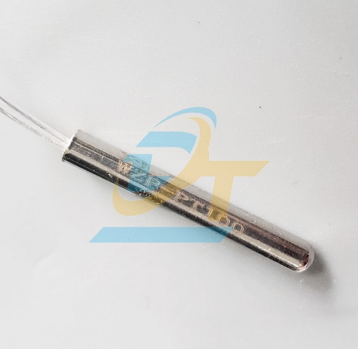 Cảm biến nhiệt độ -5-170℃ WZP-PT100  China | Giá rẻ nhất - Công Ty TNHH Thương Mại Dịch Vụ Đạt Tâm