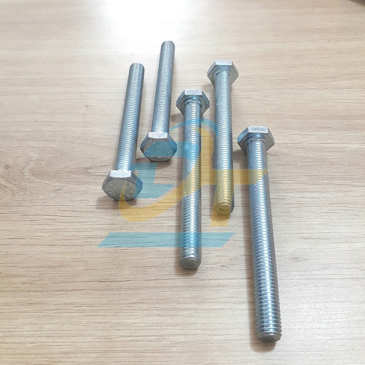 Bulong + con tán mạ kẽm M10x50