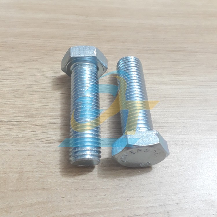 Bulong mạ kẽm M20x70