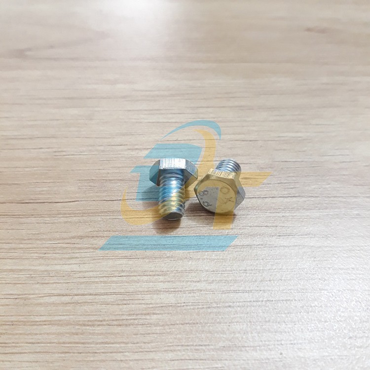 Bulong mạ kẽm M6x10